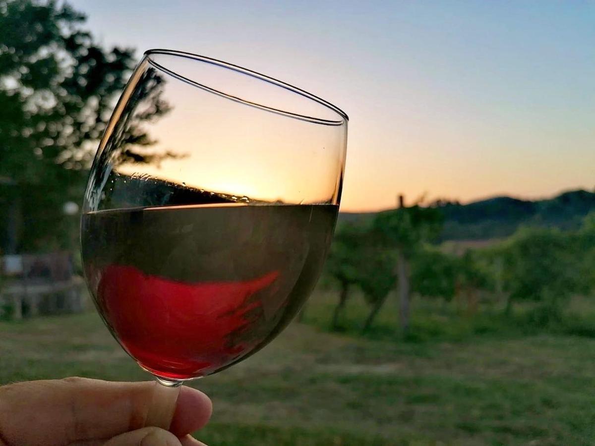 Podere Bellavista Сан-Джиміньяно Екстер'єр фото