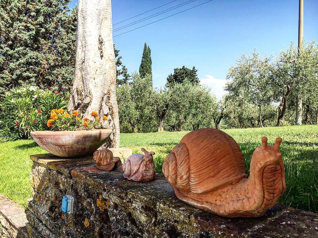 Podere Bellavista Сан-Джиміньяно Екстер'єр фото