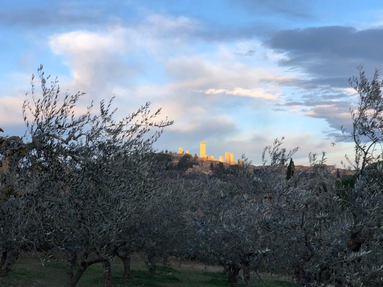 Podere Bellavista Сан-Джиміньяно Екстер'єр фото